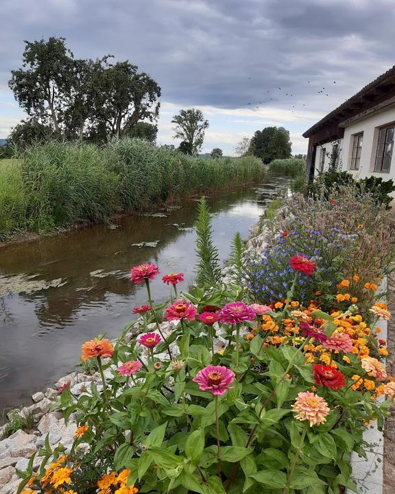 Landgasthaus Schutterzeller Muhle